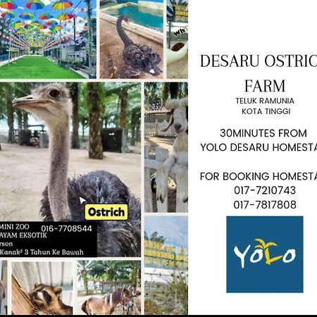 Desaru Homestay-Eva Villa Pool Homestay By Yolo Resort Bandar Penawar ภายนอก รูปภาพ