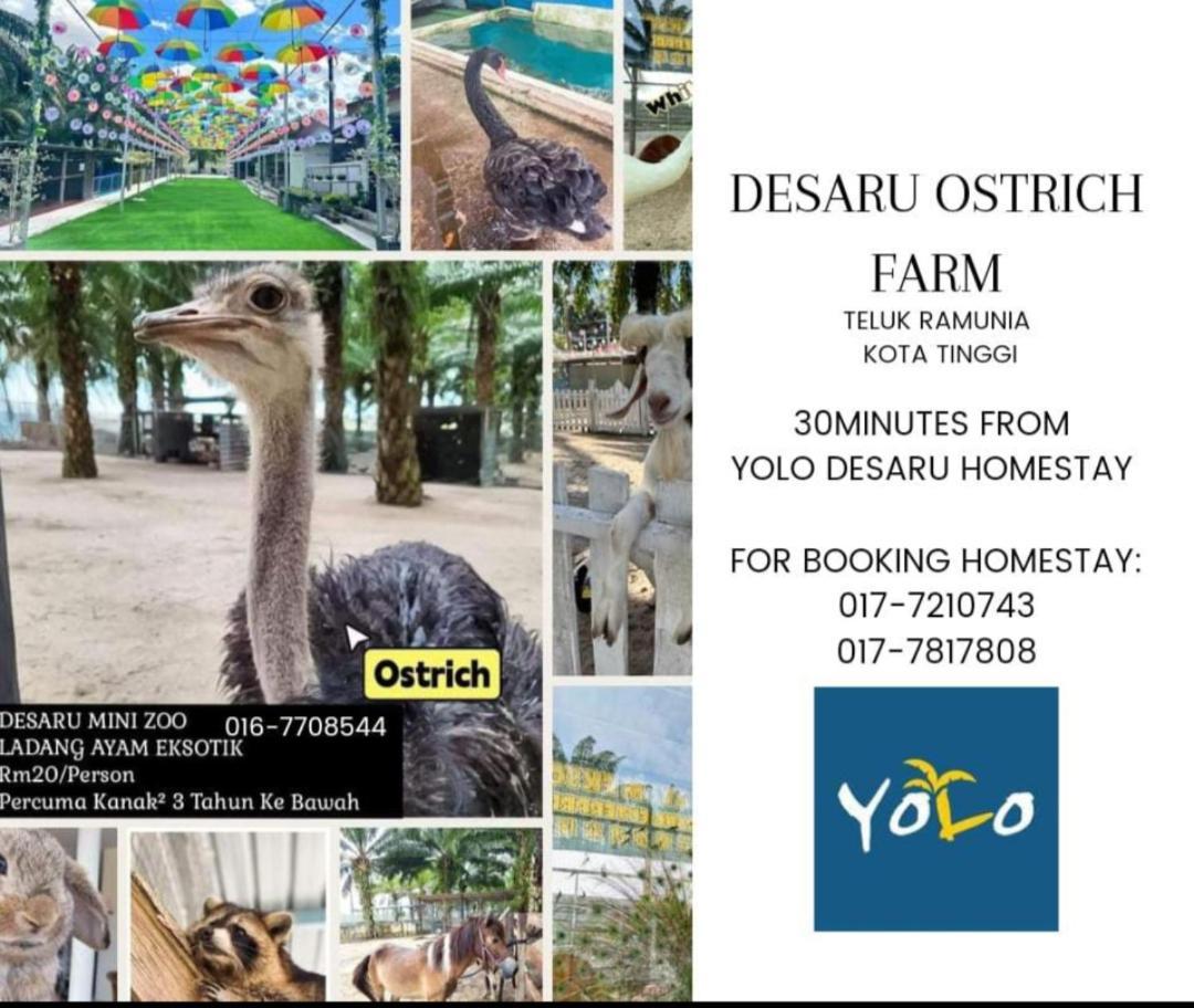 Desaru Homestay-Eva Villa Pool Homestay By Yolo Resort Bandar Penawar ภายนอก รูปภาพ